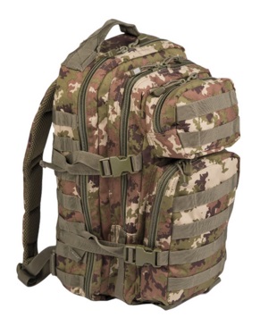 US ASSAULT PACK SM VEGETATO